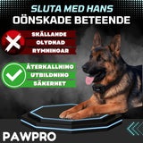 Halsbandsträning PAWPRO