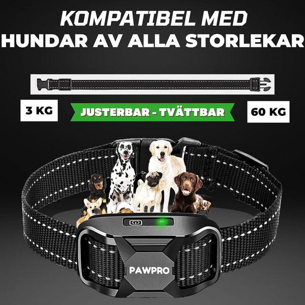 Halsbandsträning PAWPRO