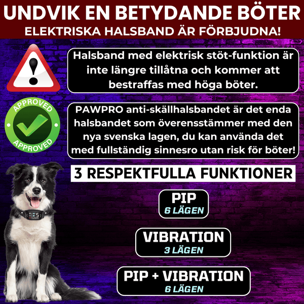 Anti-Skällhalsband för Hund - Modell ALPHA2