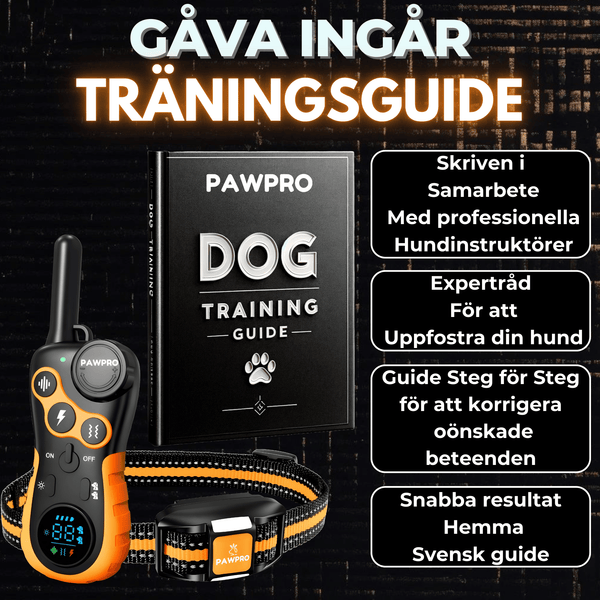 PAWPRO Ultimate - Träningshalsband för hundar