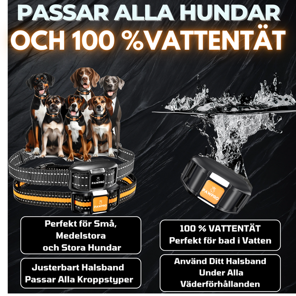 PAWPRO Ultimate - Träningshalsband för hundar