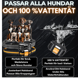 PAWPRO Ultimate - Träningshalsband för hundar